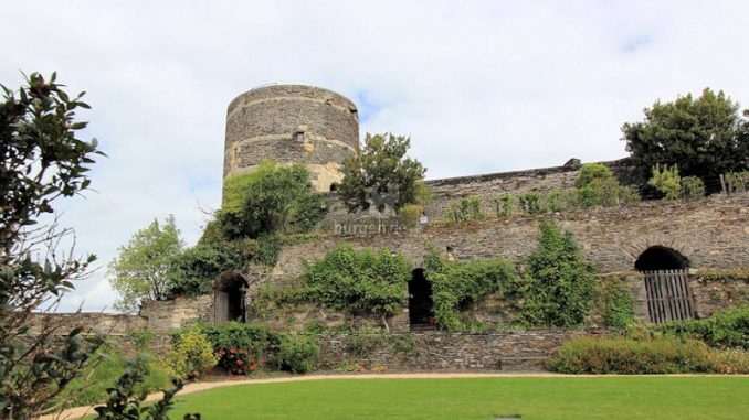 Angers_Eckturm_5411