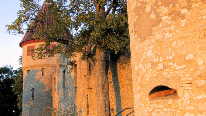 Burg-Honberg_Eingang-im-Sonnenschein