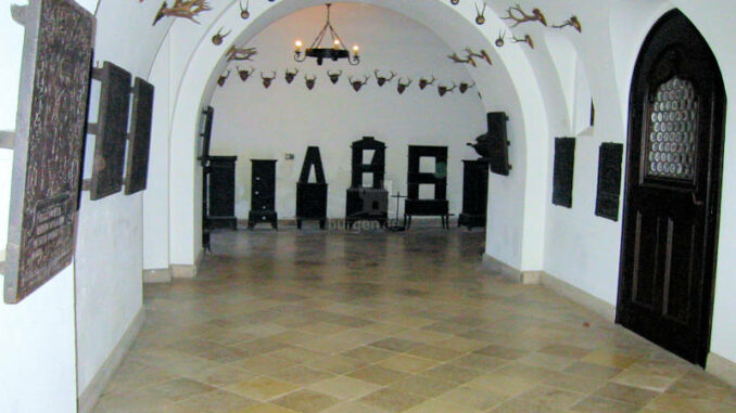 Burg-Reichenstein_0364_Halle