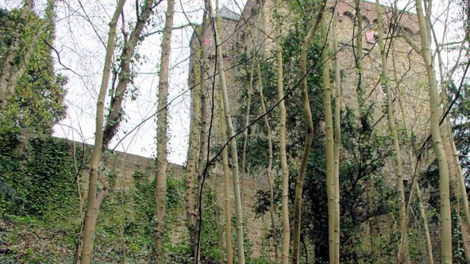 Schloss-Landsberg_Palas_0049
