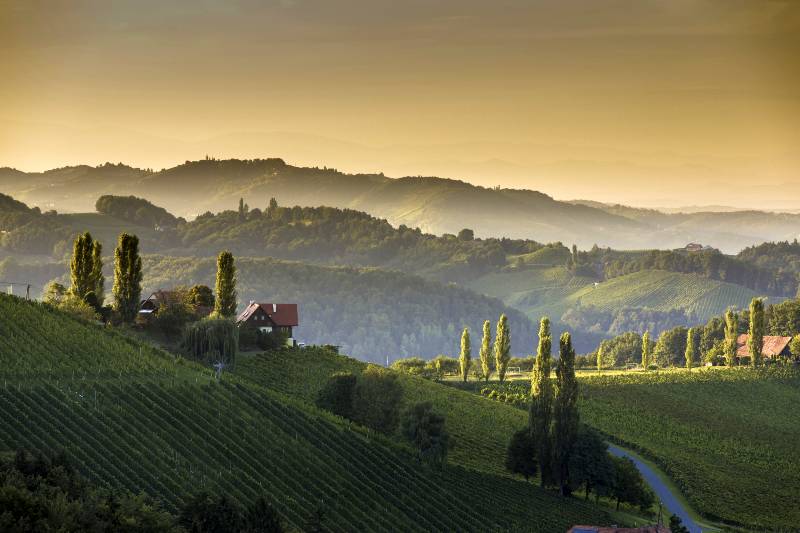 Die Südsteiermark © Steiermark Tourismus | Harry Schiffer