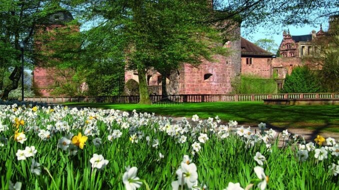 Frühling in Baden-Württemberg - Heidelberger Schloss - blühender Schlossgarten; Foto: SSG / Ursula Wetzel